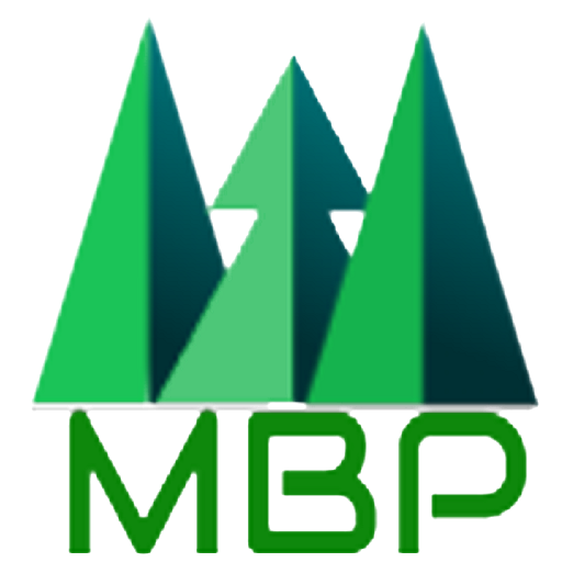 maisonboisproject.com